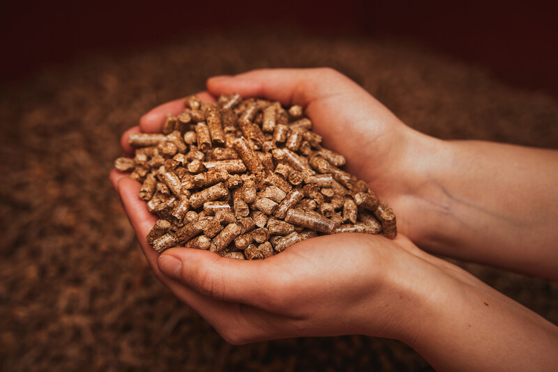 Ekologiczność jako kluczowa zaleta pelletu
