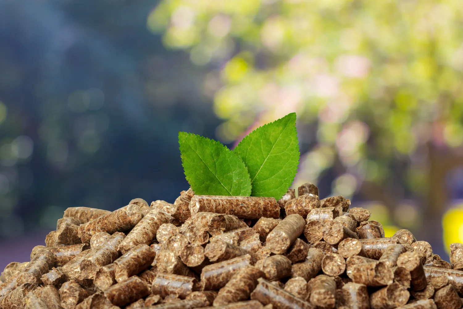 Pellet lokalny a importowany