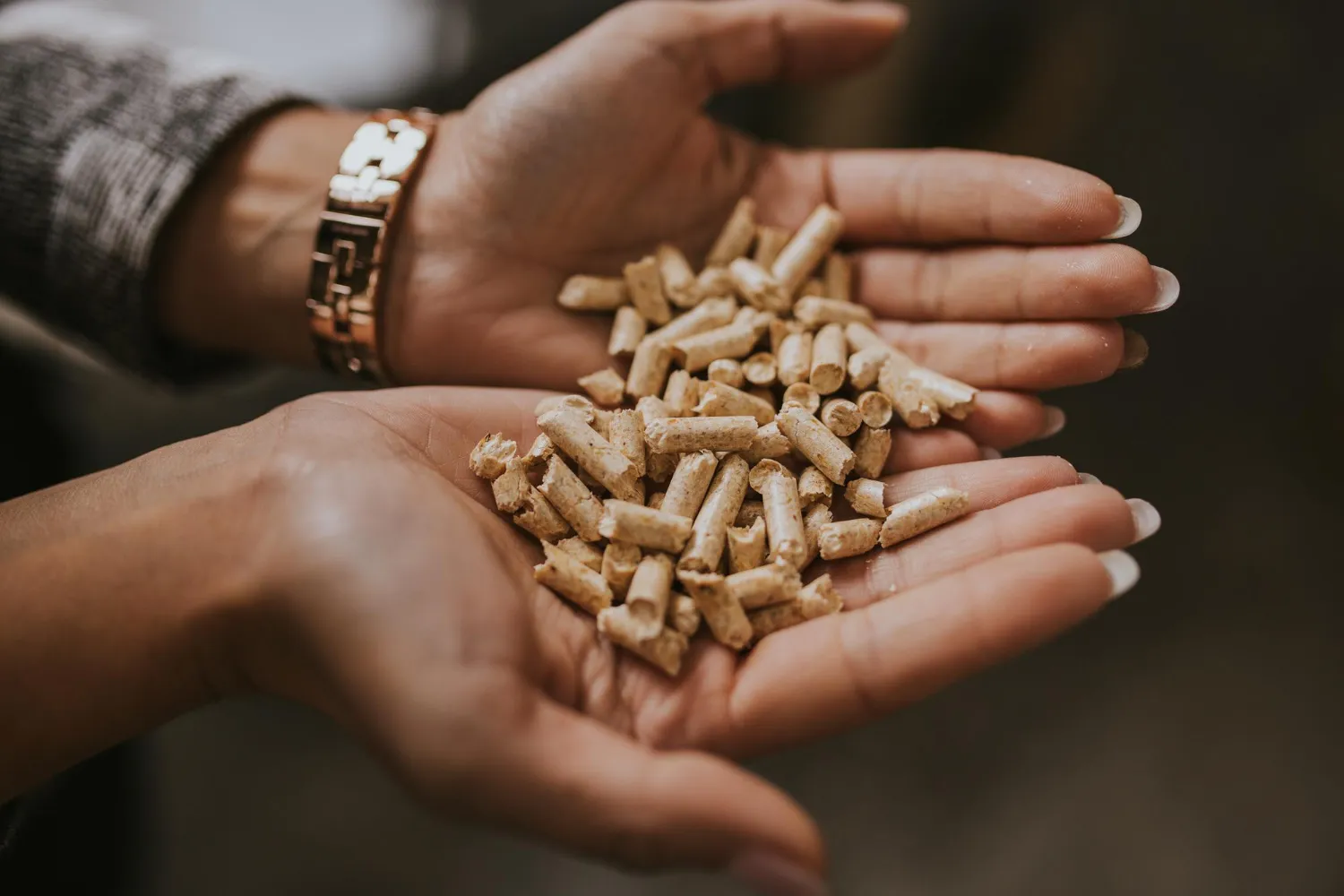 Pellet w hotelach i pensjonatach