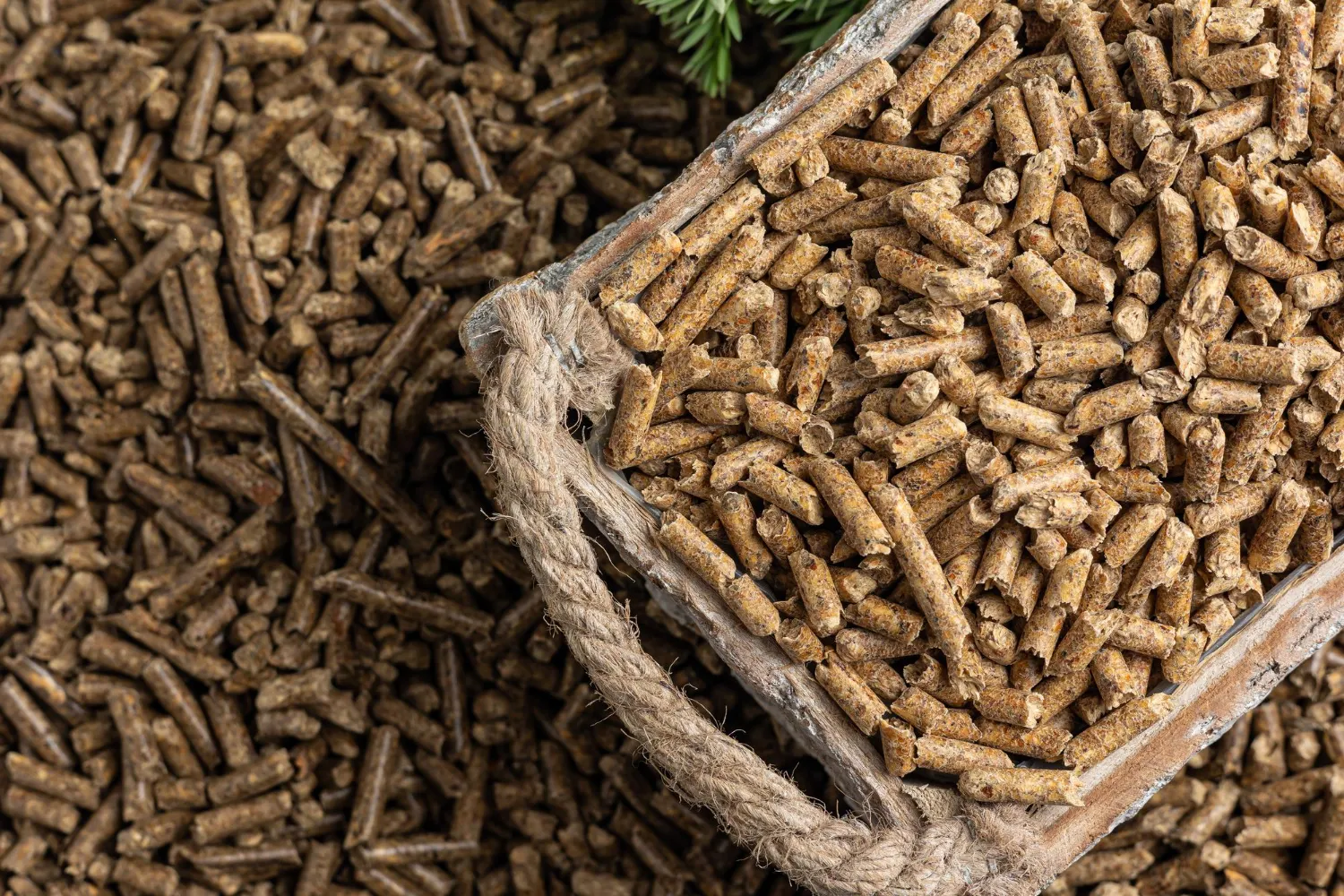 Ręczny czy automatyczny podajnik pelletu?